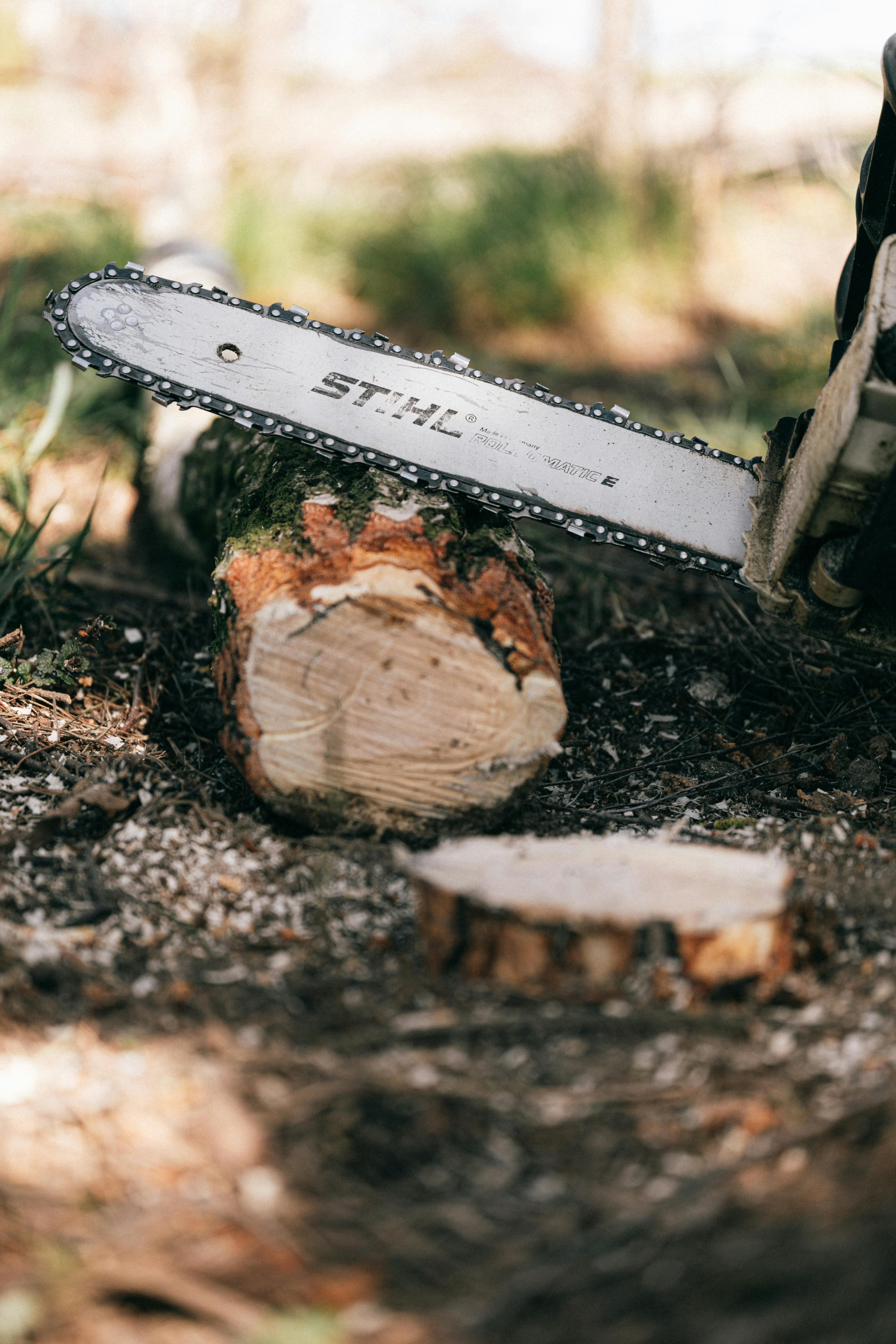 Close-up of Stihl Akku Kettensäge Features